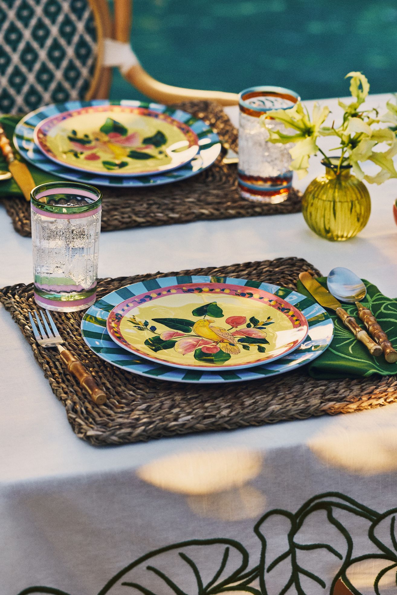 Blue Pheasant Rectangle Placemats (Set of 10)