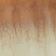 Brown Pattern