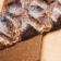 Tan / Snake