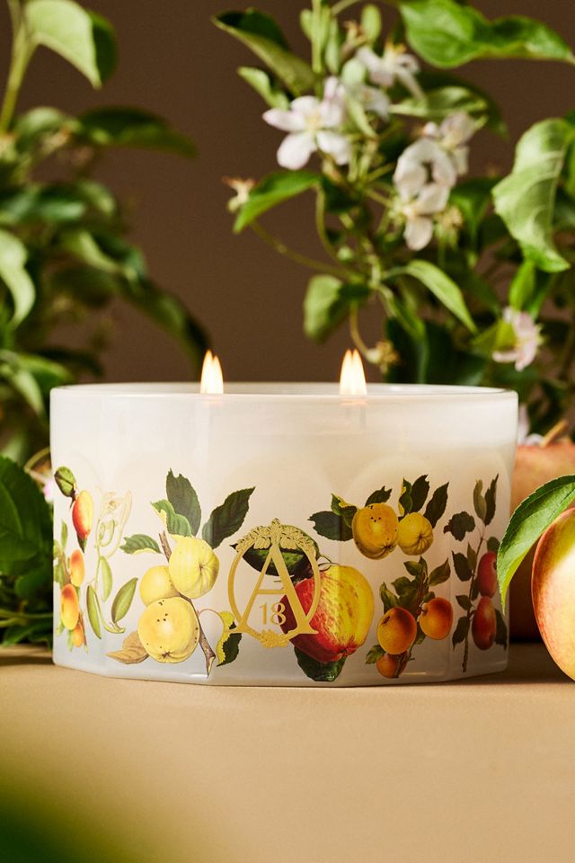 Apothecary 18 Gourmand Harvest Apple & Vanilla Glass Candle