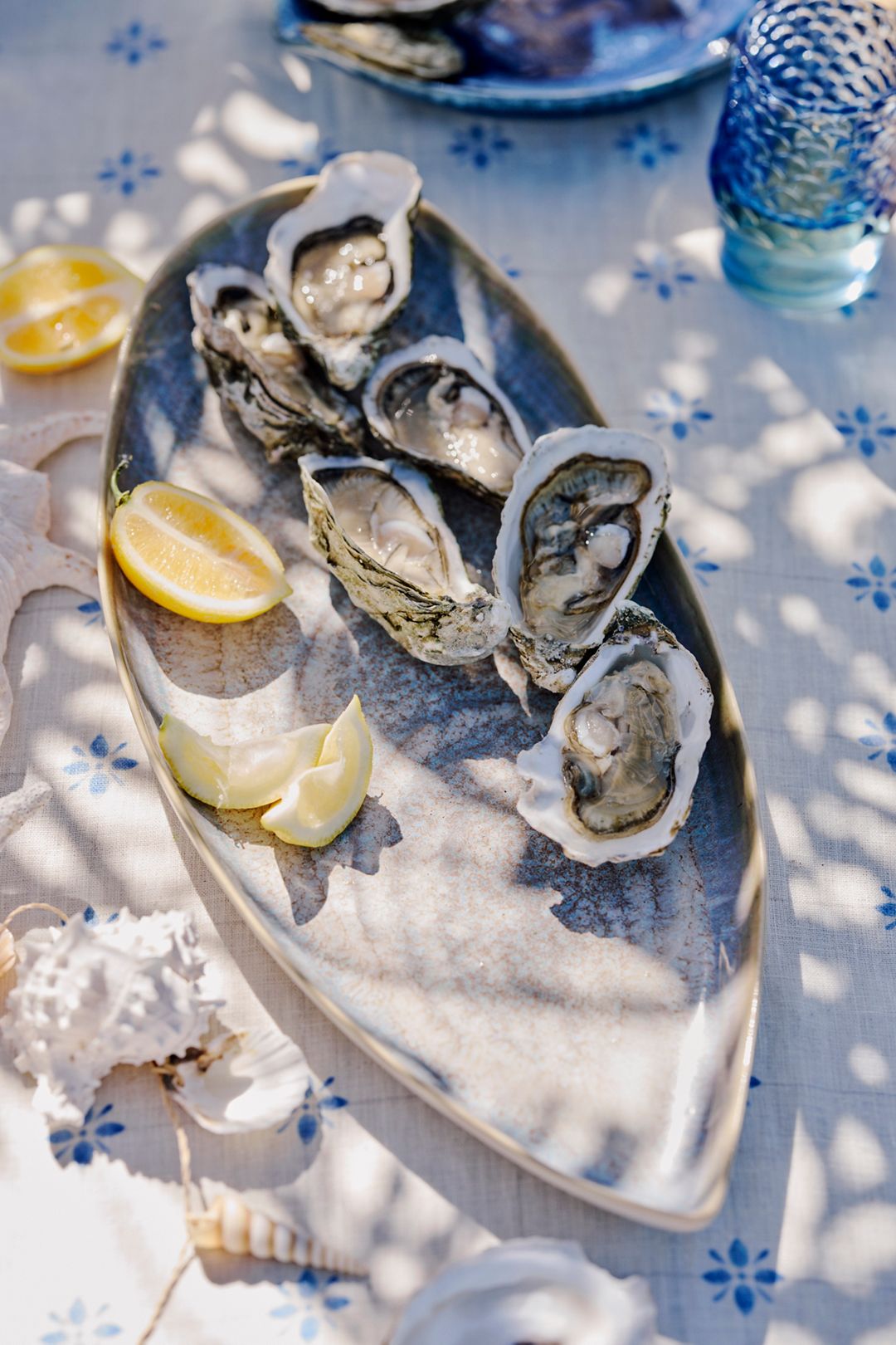 Oyster Shell Stoneware Serving Platter - Blue