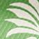Green Pattern
