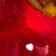 Gold/Red