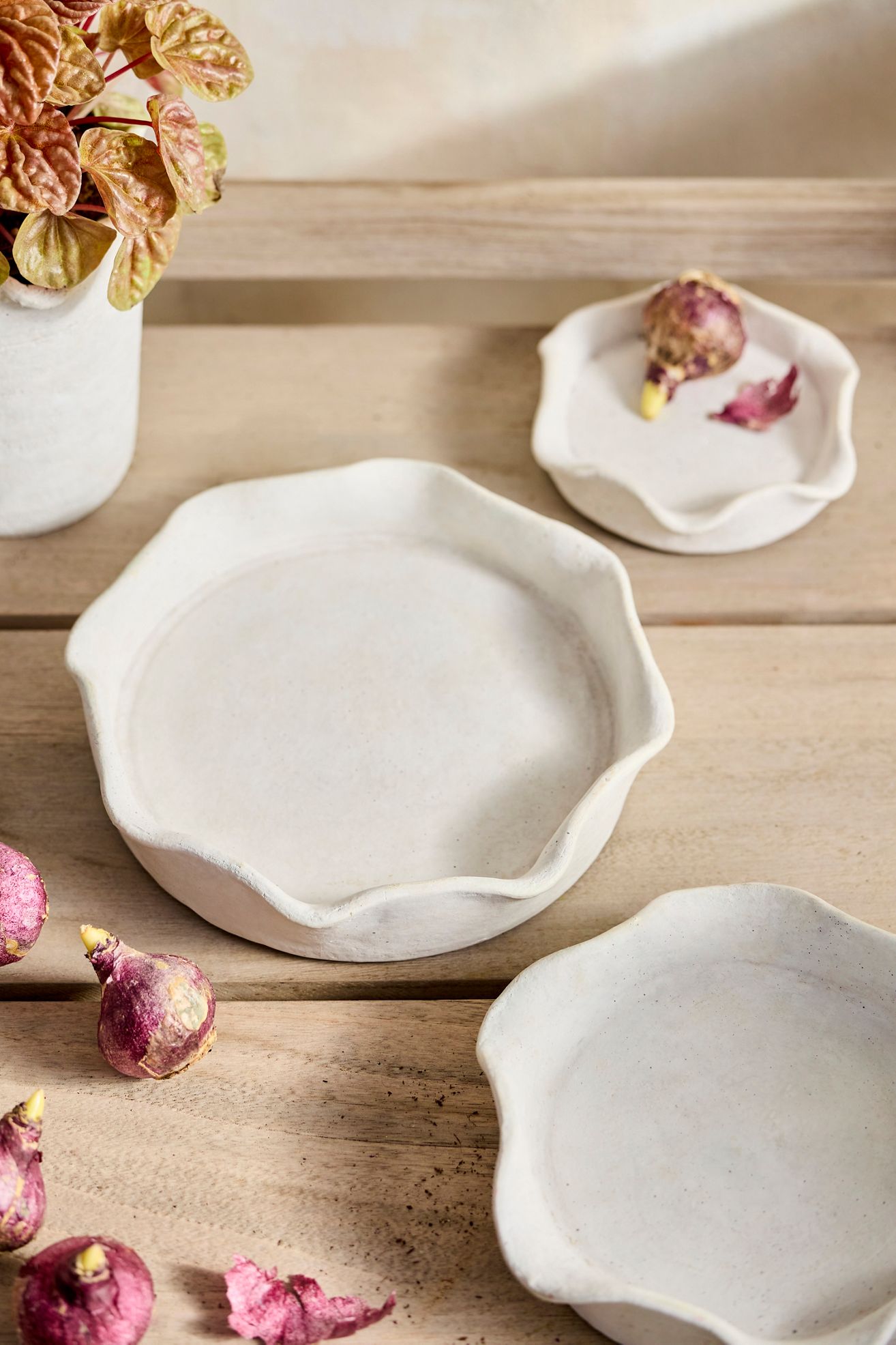 Terracotta Pie Crust Rim Saucer, White - White, 5"