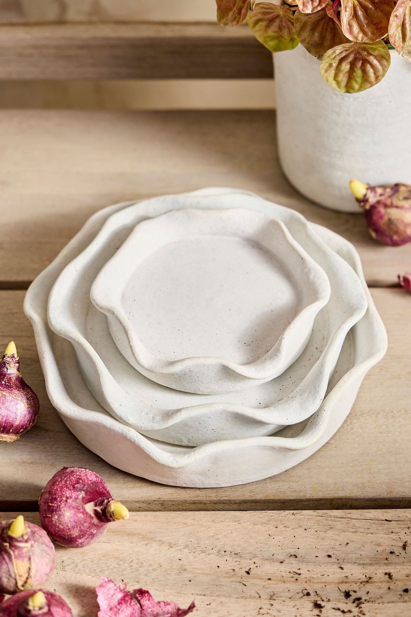 Terracotta Pie Crust Rim Saucer, White - White, Standard, 9"