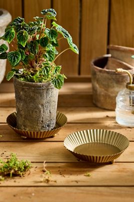 Plant Saucers + Trays | Terrain