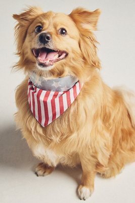 Summer Pet Bandana