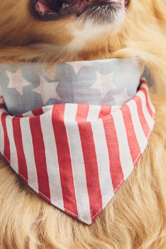 FURB Summer Pet Bandana #1