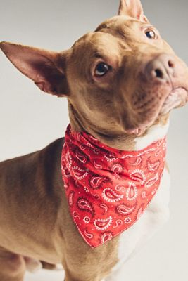 FURB Summer Pet Bandana