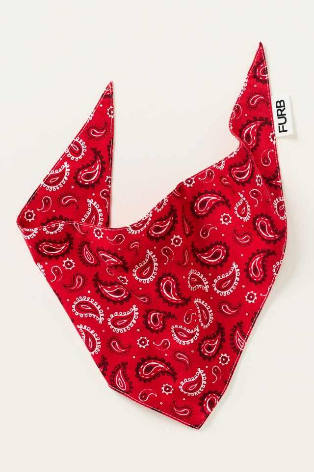 FURB Summer Pet Bandana #2