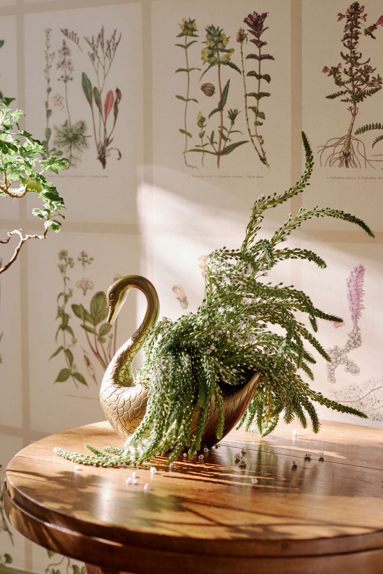 Metal Swan Planter - Bronze, 9"
