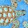 Turtle Conservation