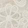 Ivory Cream
