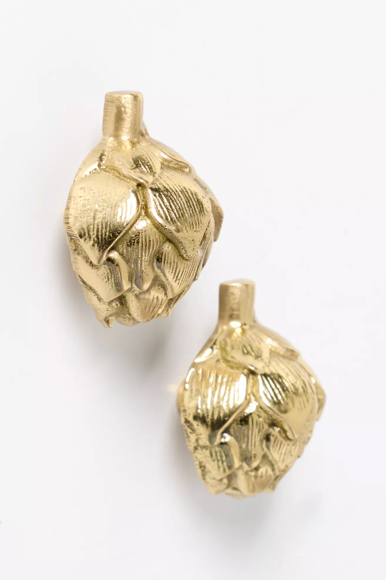 Harvest Brass Knob, Set of 2 - thumbnail 9