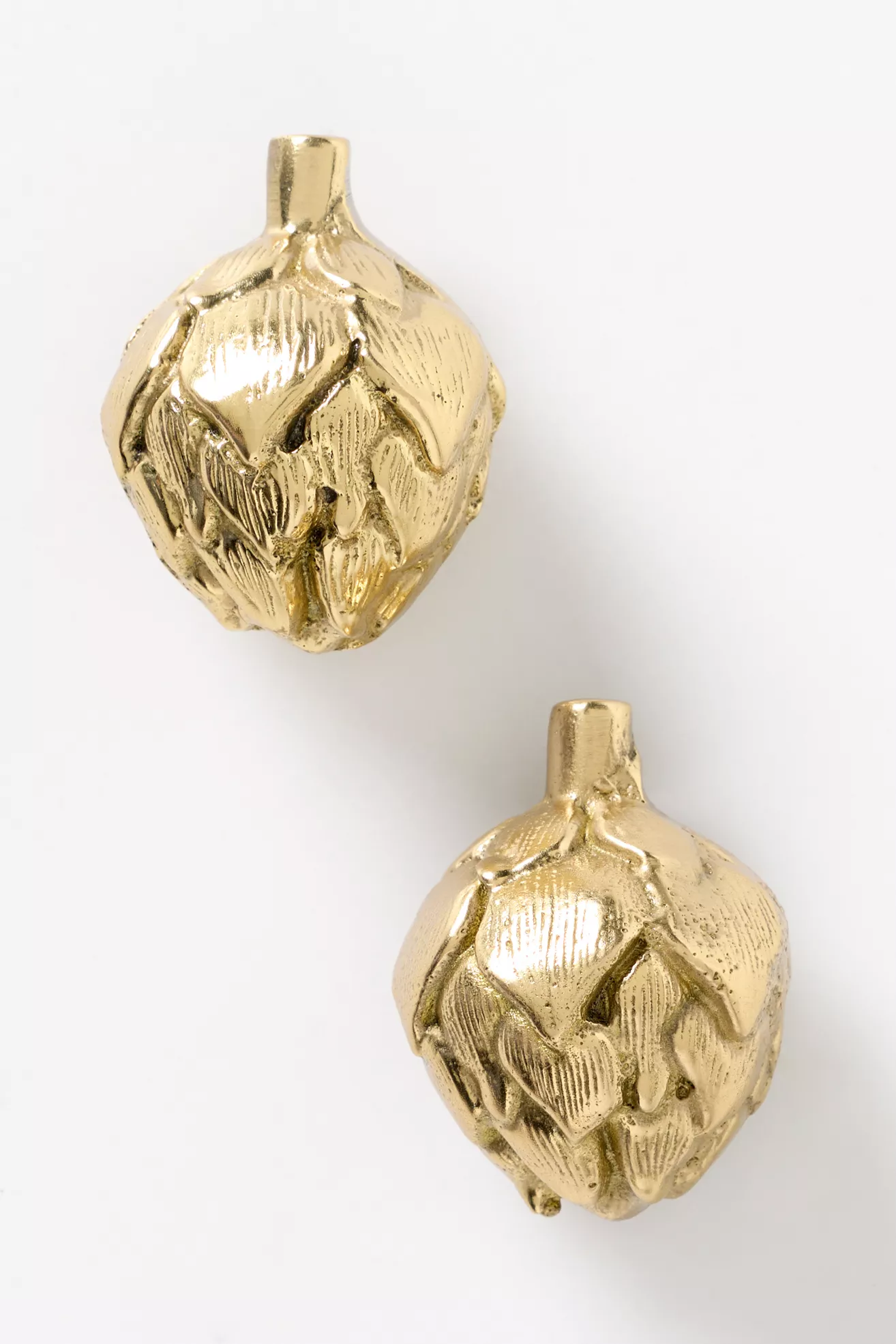Harvest Brass Knob, Set of 2 - thumbnail 8