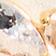 Clear/Silk
