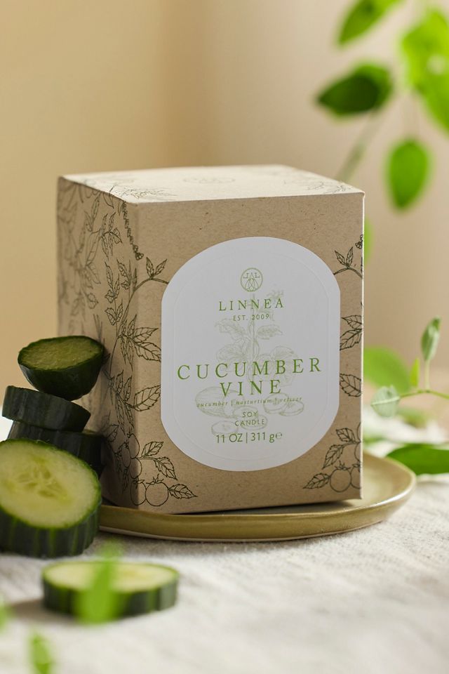 Linnea Candle, Cucumber Vine #1