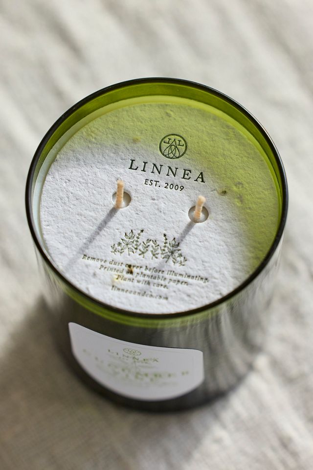 Linnea Candle, Cucumber Vine #2