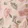 Blush Pink