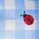 Blue Pattern