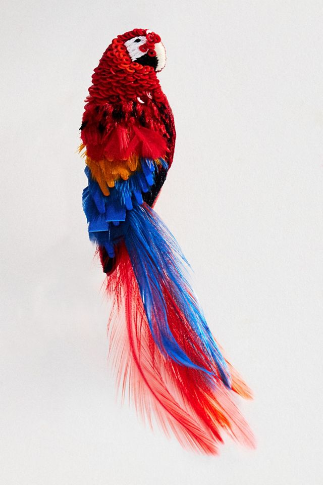 Mignonne Gavigan Macaw Bird Earrings #1