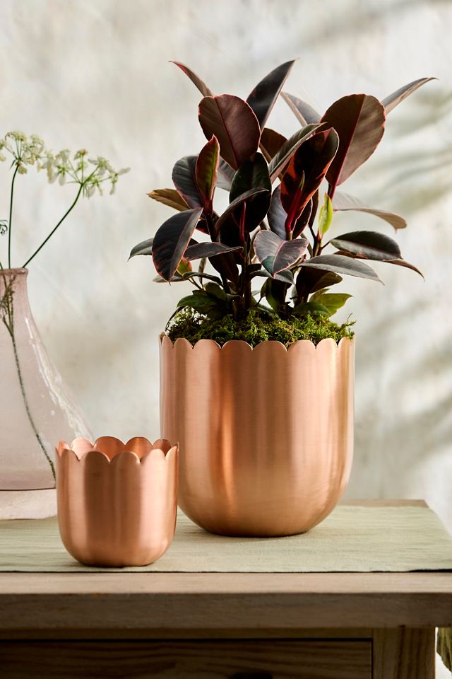 Scallop Edge Polished Copper Planter | Terrain