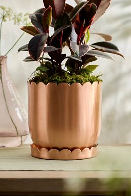 Lotus Edge Polished Copper Planter | Terrain
