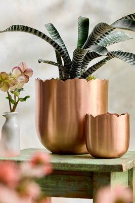 Scallop Edge Polished Copper Planter | Terrain