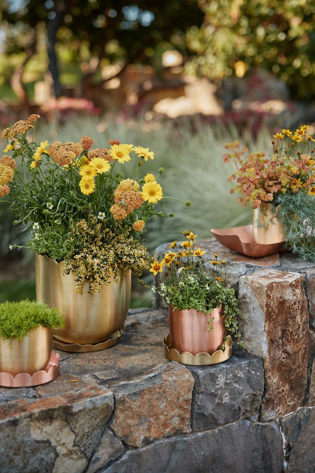 Polished Copper Rectangle Trough | Terrain