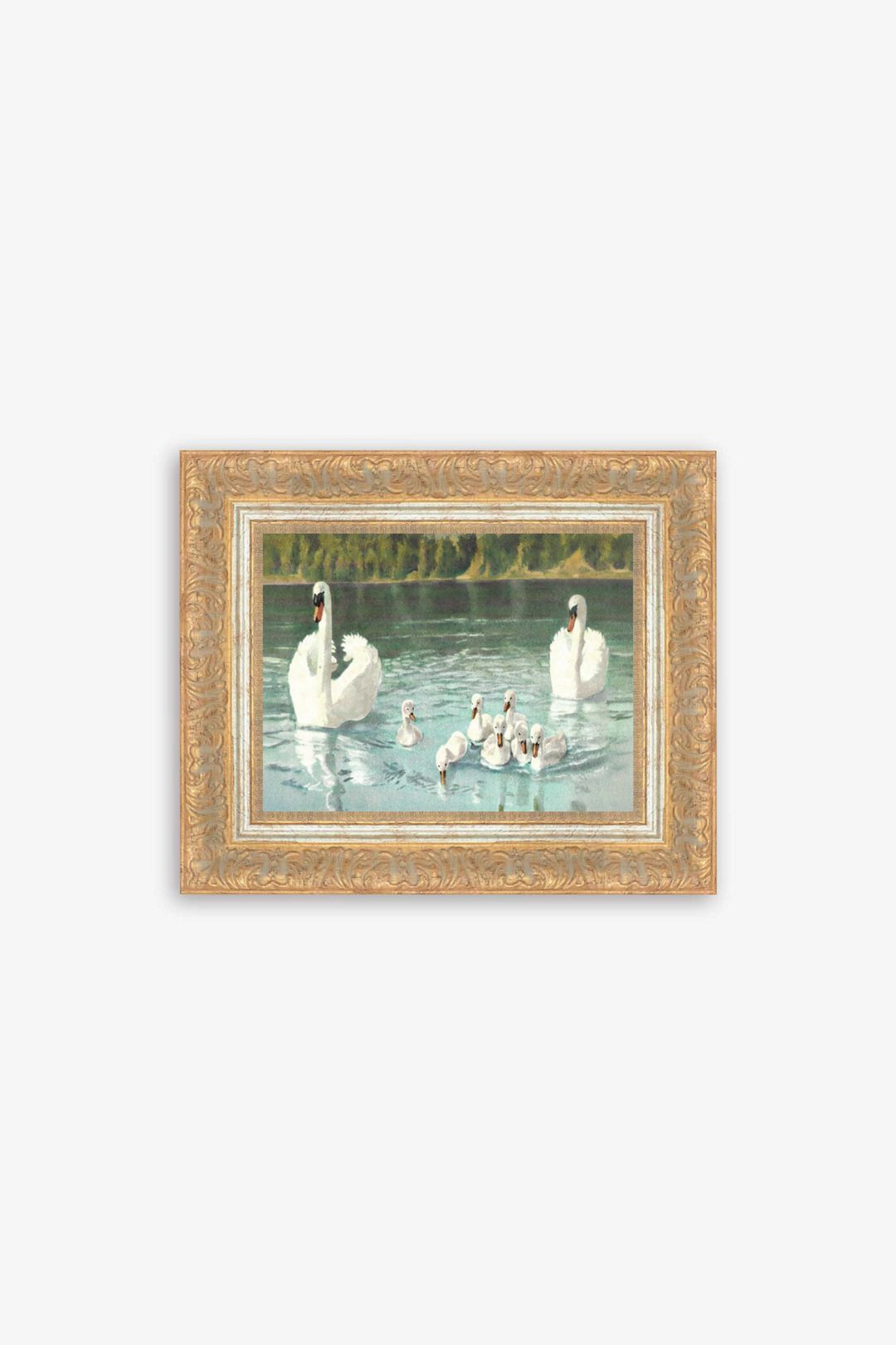 Swan Family Wall Art
