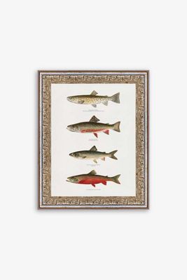 Printed Trouts Wall Art