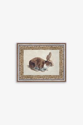 Rabbit Wall Art