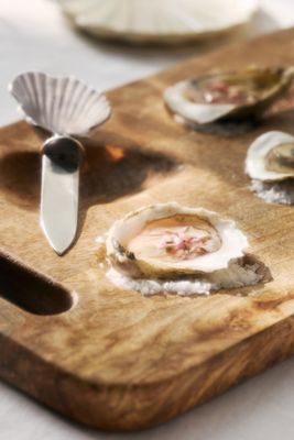 Shelton Metal Shell Oyster Knife
