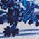Blue Floral