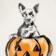 Jack O Lantern
