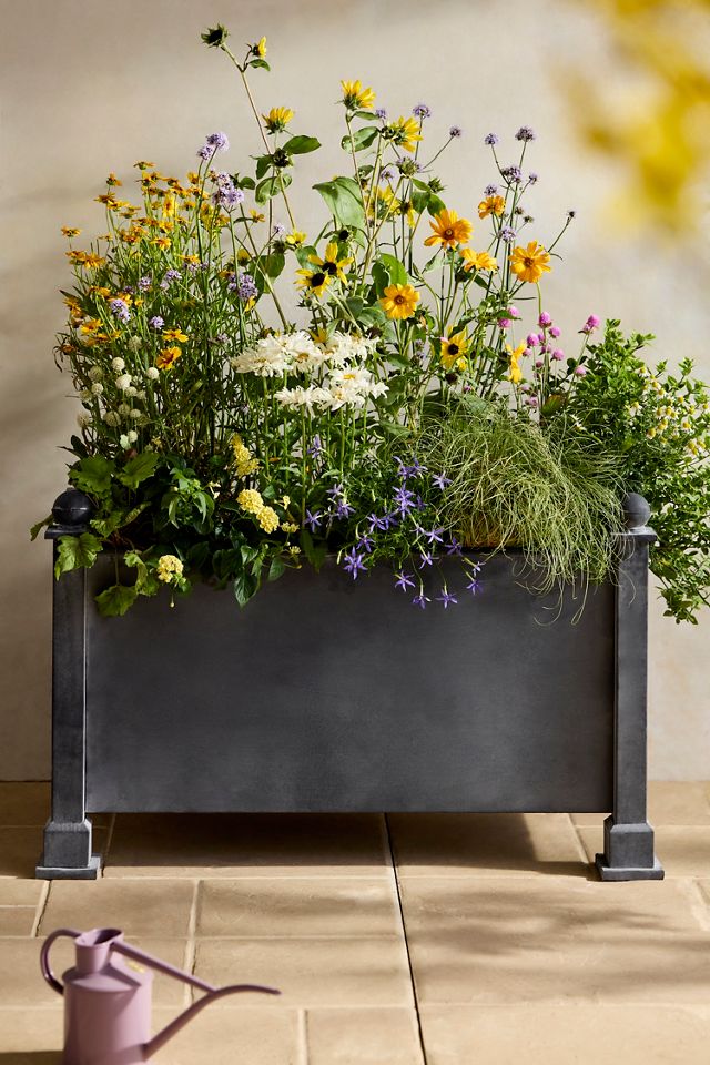 Versailles Galvanized Trough Planter #1