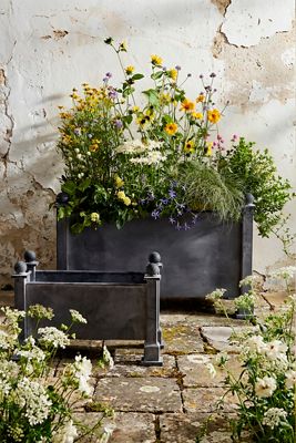 Versailles Galvanized Trough Planter
