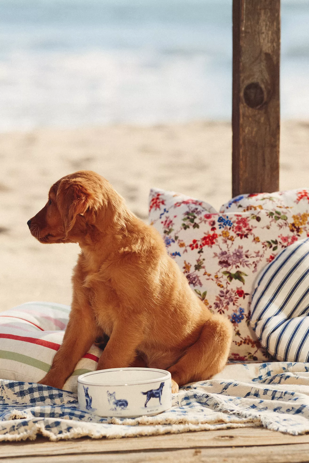 Molly Hatch Stoneware Pet Bowl