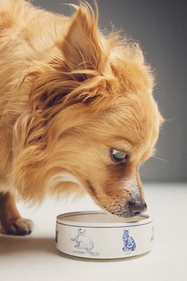 Molly Hatch Stoneware Pet Bowl