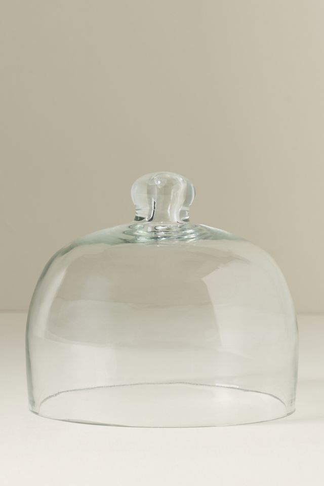 Romie Glass Dome #1