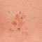 Peach Print