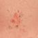 Peach Print