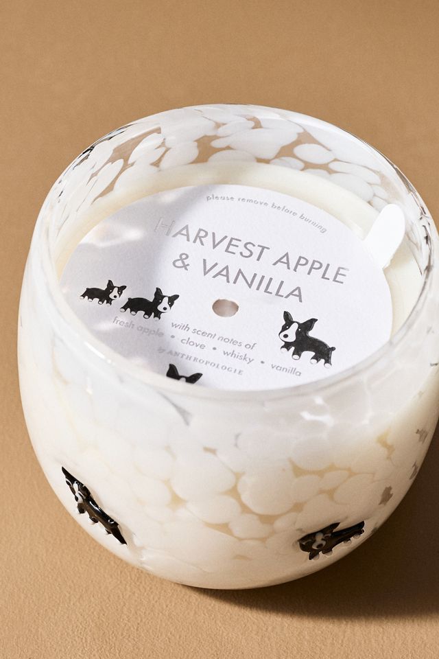 Confetti Icon Boxer Fruity Harvest Apple & Vanilla Glass Candle #2