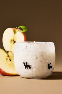 Confetti Icon Boxer Fruity Harvest Apple & Vanilla Glass Candle