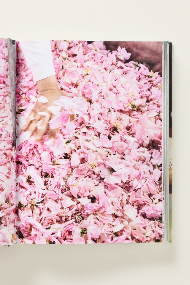 Fragonard Hardcover Coffee Table Book #2