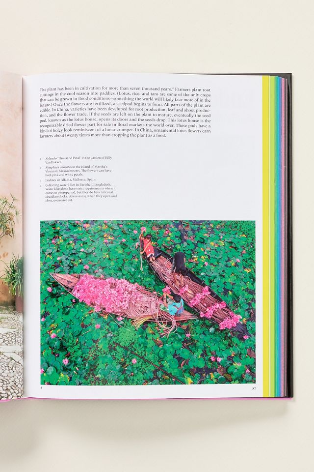 Flora Culture Hardcover Book #1