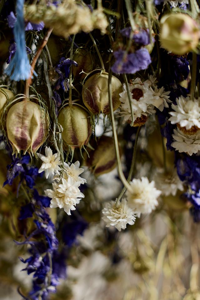 Royal Nigella Dried Bouquet #1