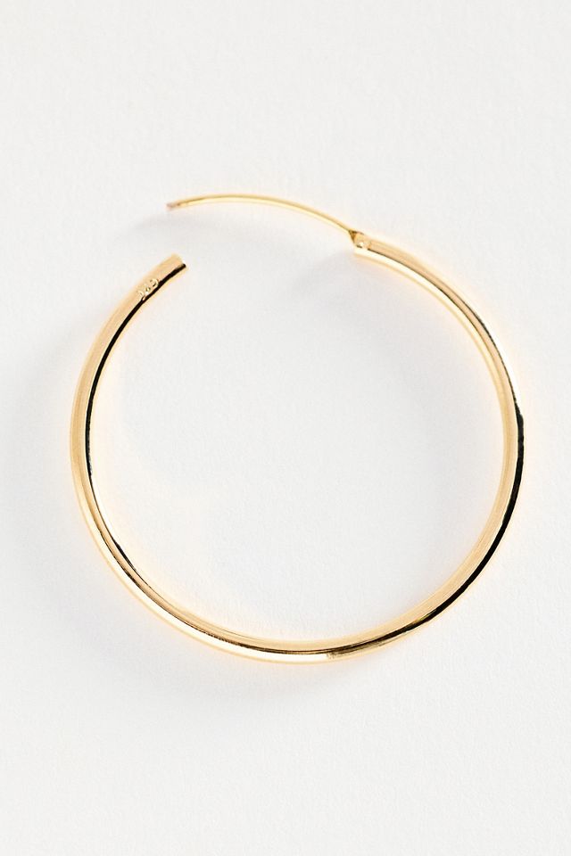 Delicate Gilded Hoop Earrings #1