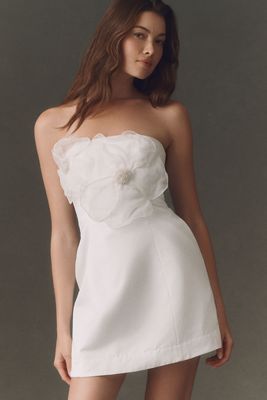 BHLDN Strapless Appliqué Mini Dress