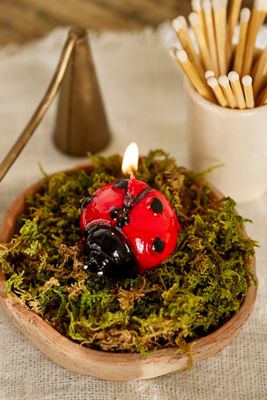 Ladybug Candle